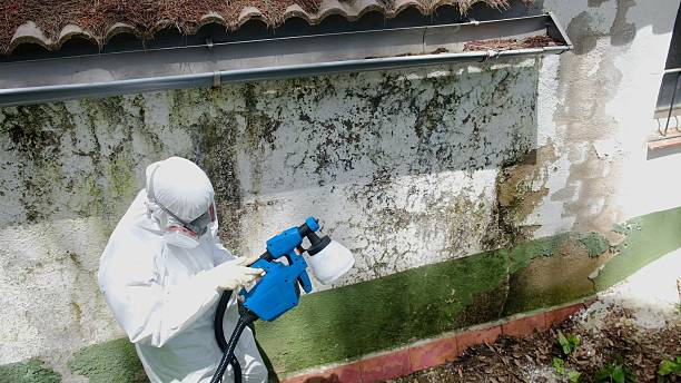 Top rated local Commercial Mold Remediation specialists in Parkhill, PA